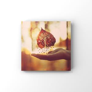 亚洲国产福利片在线精品一区
