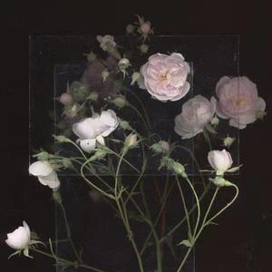 亚洲国产福利片在线精品一区
